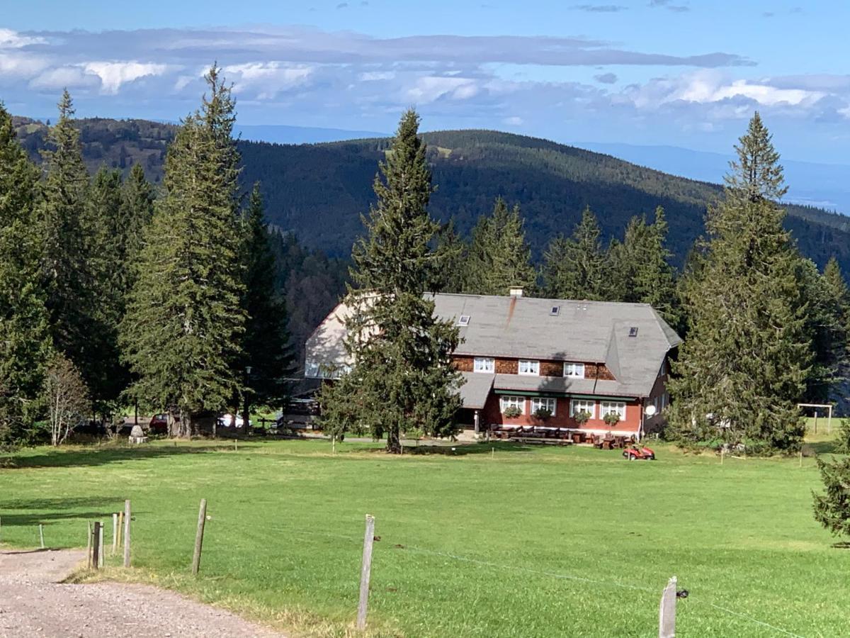 Residenz Schauinsland Todtnauberg - Fewo 17 - Sauna - Spielzimmer Fuer Kinder - Naehe Feldberg Экстерьер фото