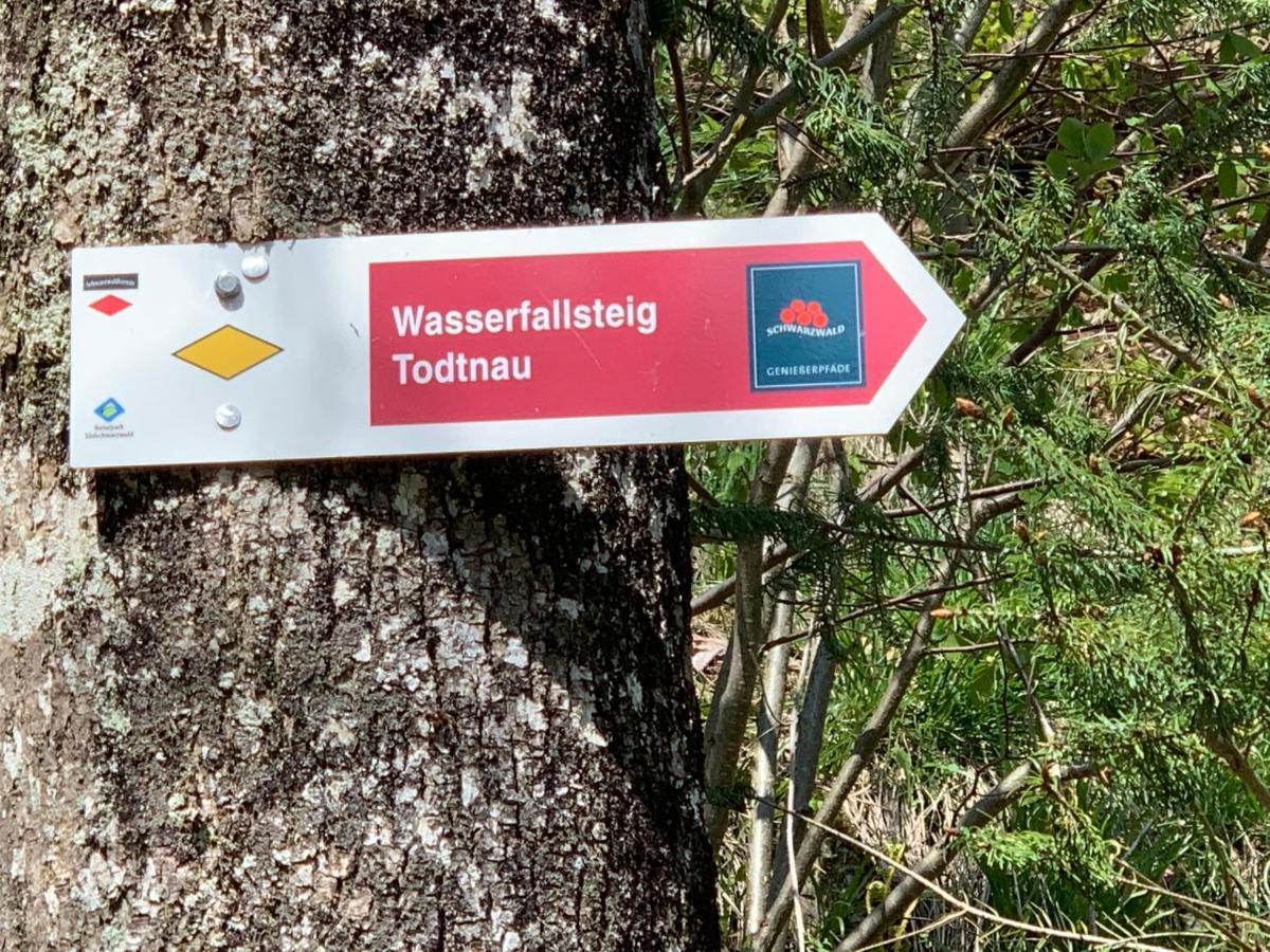 Residenz Schauinsland Todtnauberg - Fewo 17 - Sauna - Spielzimmer Fuer Kinder - Naehe Feldberg Экстерьер фото